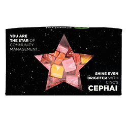 CEPHAI STARBURSTS BOX